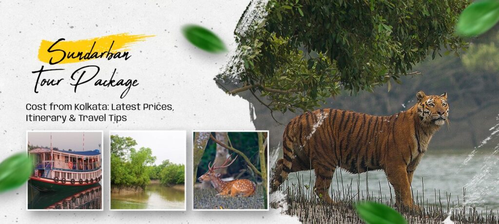 Sundarban Tour Package Cost from Kolkata Latest Prices, Itinerary & Travel Tips